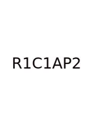 Realidades 1 Capitulo 1b Answers Page 27