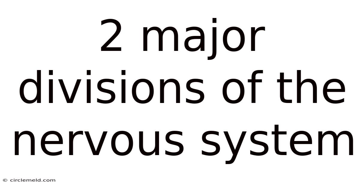 2 Major Divisions Of The Nervous System