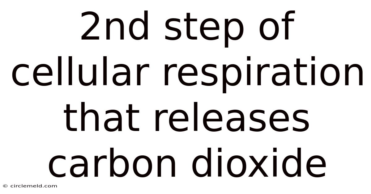 2nd Step Of Cellular Respiration That Releases Carbon Dioxide
