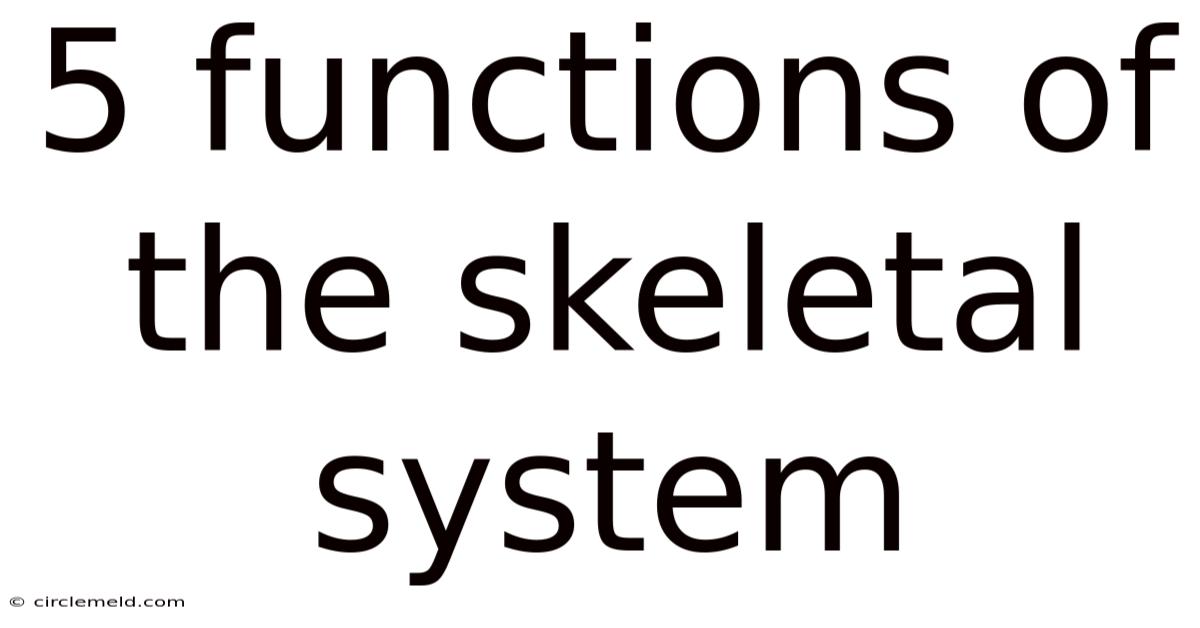 5 Functions Of The Skeletal System