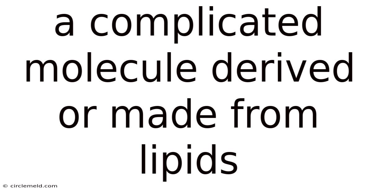 A Complicated Molecule Derived Or Made From Lipids