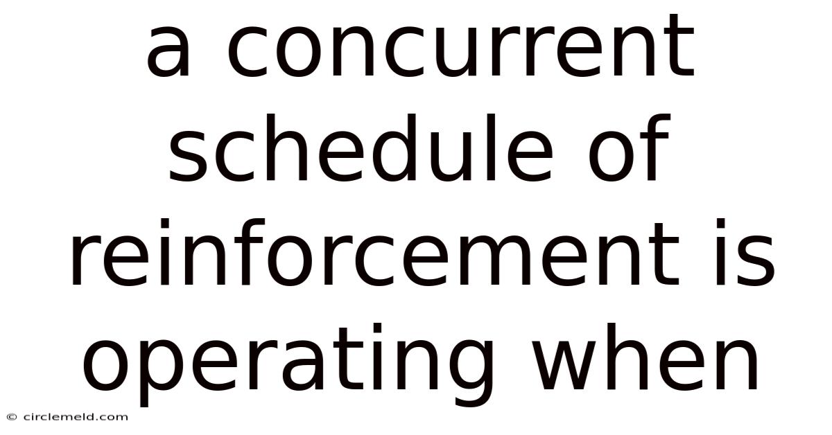 A Concurrent Schedule Of Reinforcement Is Operating When