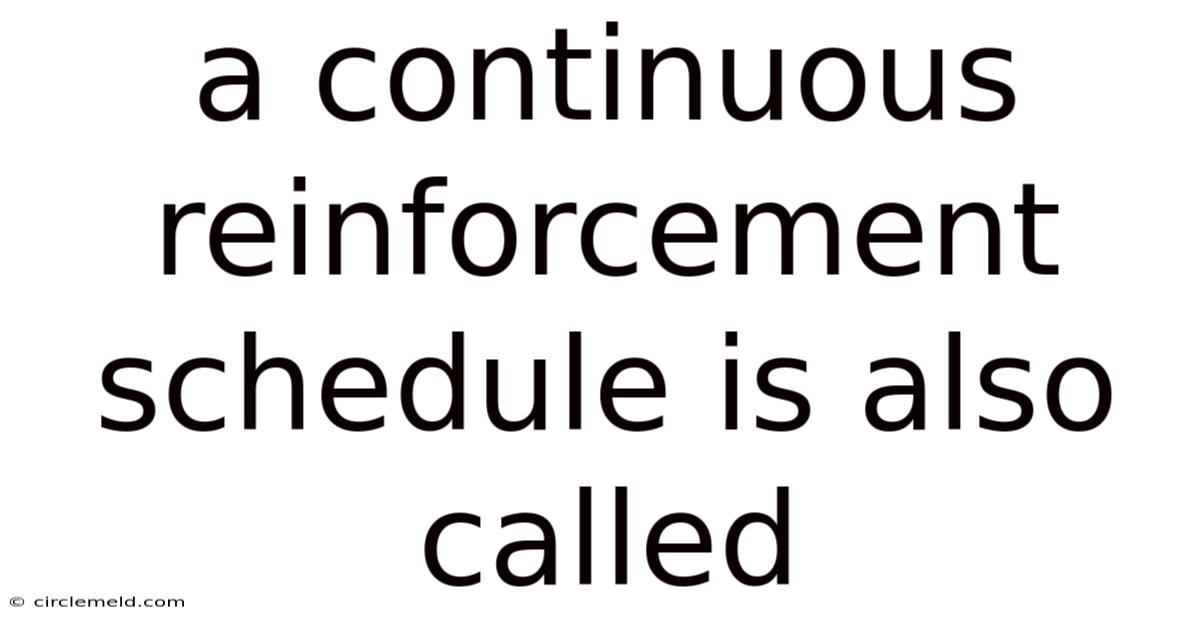 A Continuous Reinforcement Schedule Is Also Called
