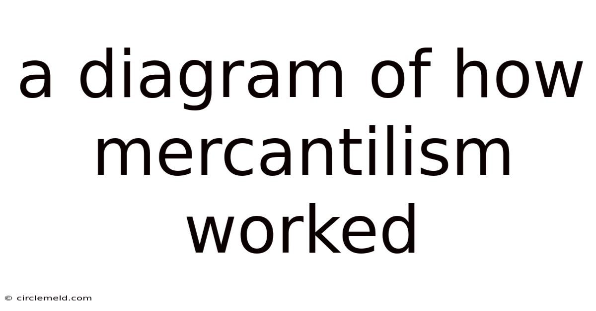 A Diagram Of How Mercantilism Worked