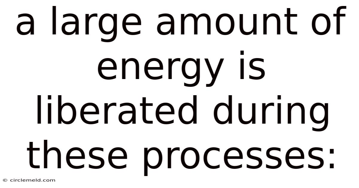 A Large Amount Of Energy Is Liberated During These Processes: