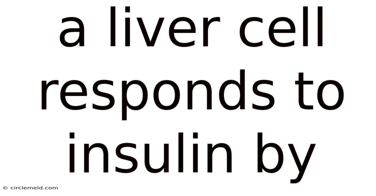 A Liver Cell Responds To Insulin By