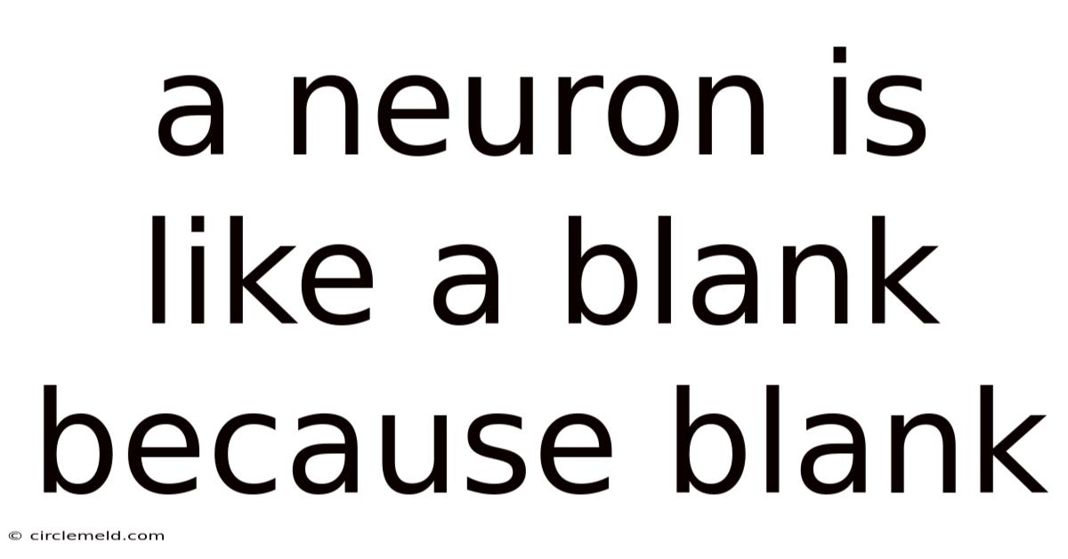 A Neuron Is Like A Blank Because Blank