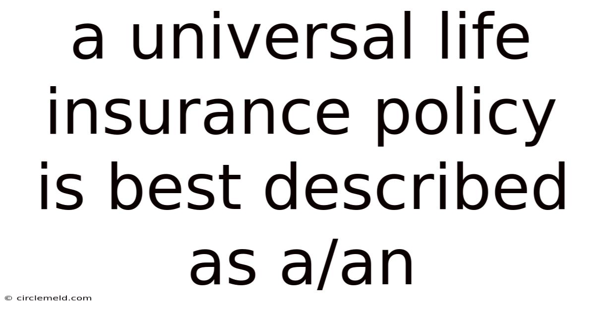 A Universal Life Insurance Policy Is Best Described As A/an