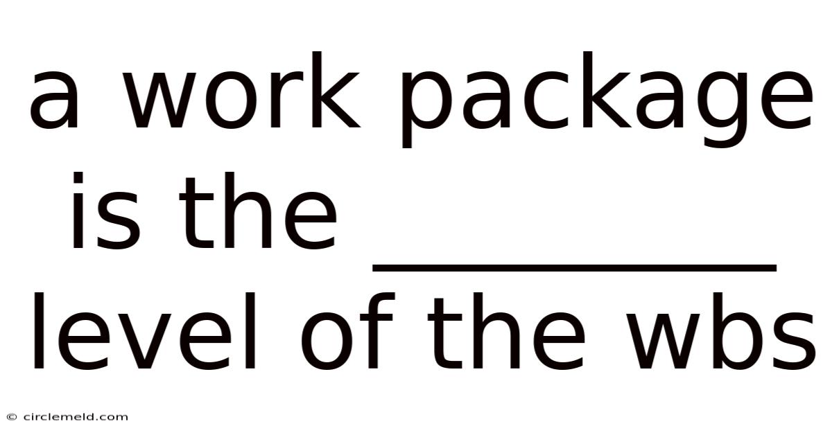 A Work Package Is The ________ Level Of The Wbs