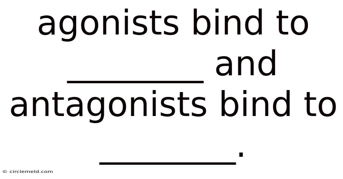 Agonists Bind To ________ And Antagonists Bind To ________.