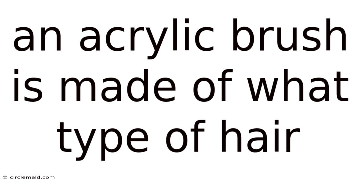 An Acrylic Brush Is Made Of What Type Of Hair