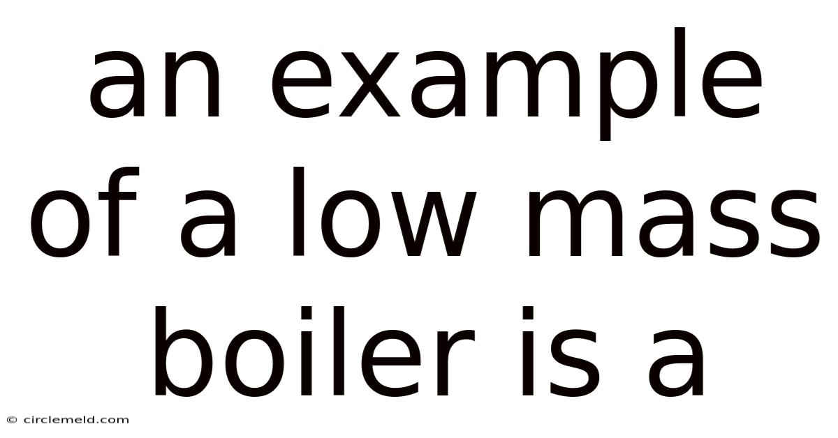 An Example Of A Low Mass Boiler Is A
