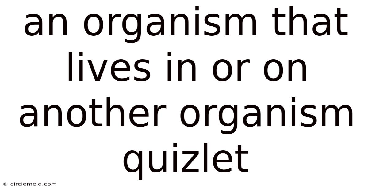 An Organism That Lives In Or On Another Organism Quizlet