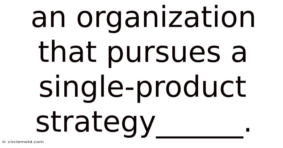 An Organization That Pursues A Single-product Strategy______.
