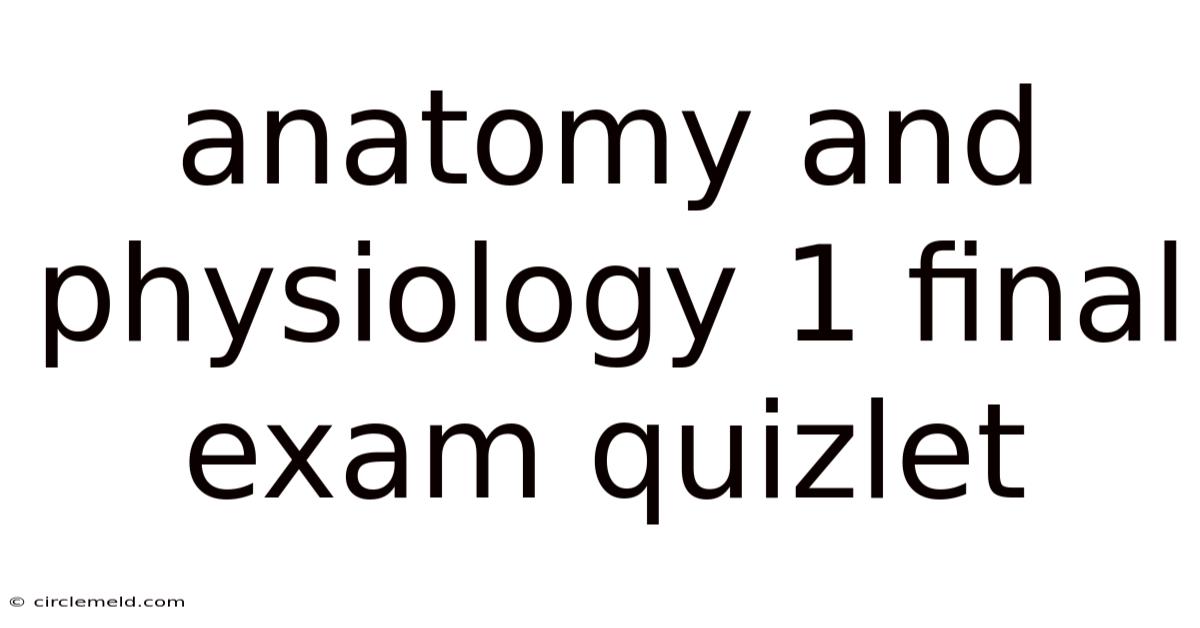 Anatomy And Physiology 1 Final Exam Quizlet