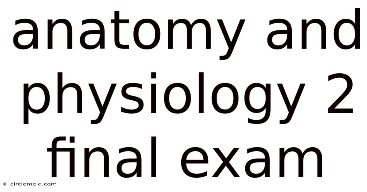 Anatomy And Physiology 2 Final Exam