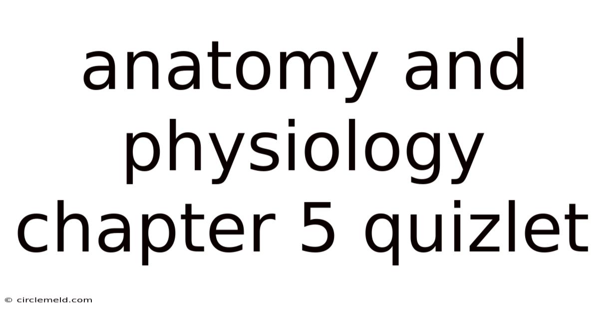 Anatomy And Physiology Chapter 5 Quizlet