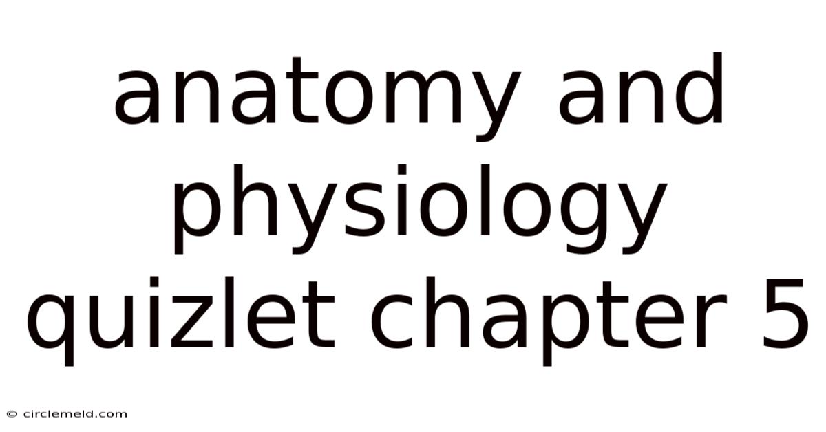 Anatomy And Physiology Quizlet Chapter 5