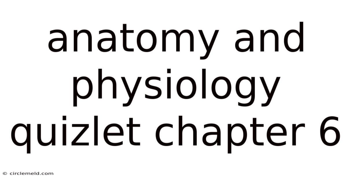 Anatomy And Physiology Quizlet Chapter 6