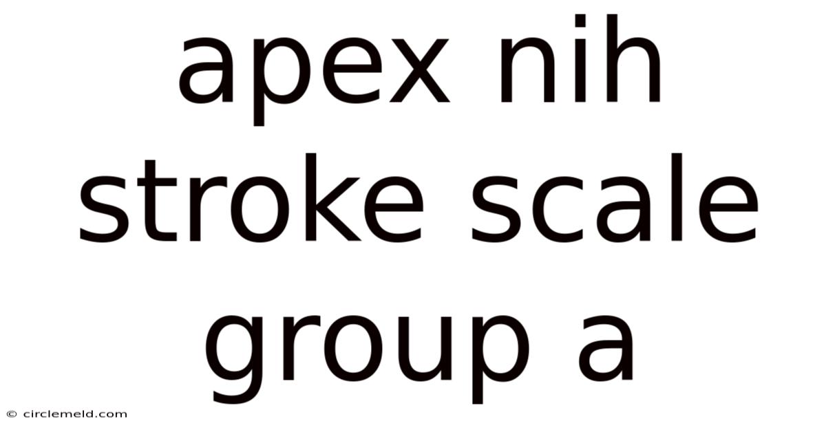 Apex Nih Stroke Scale Group A