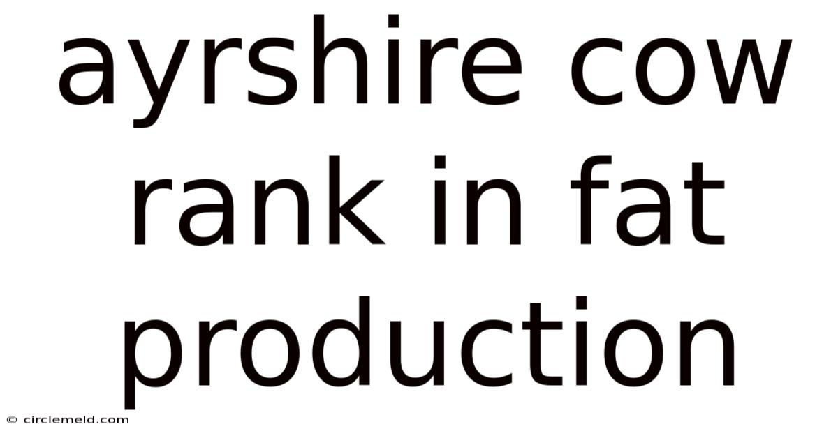 Ayrshire Cow Rank In Fat Production