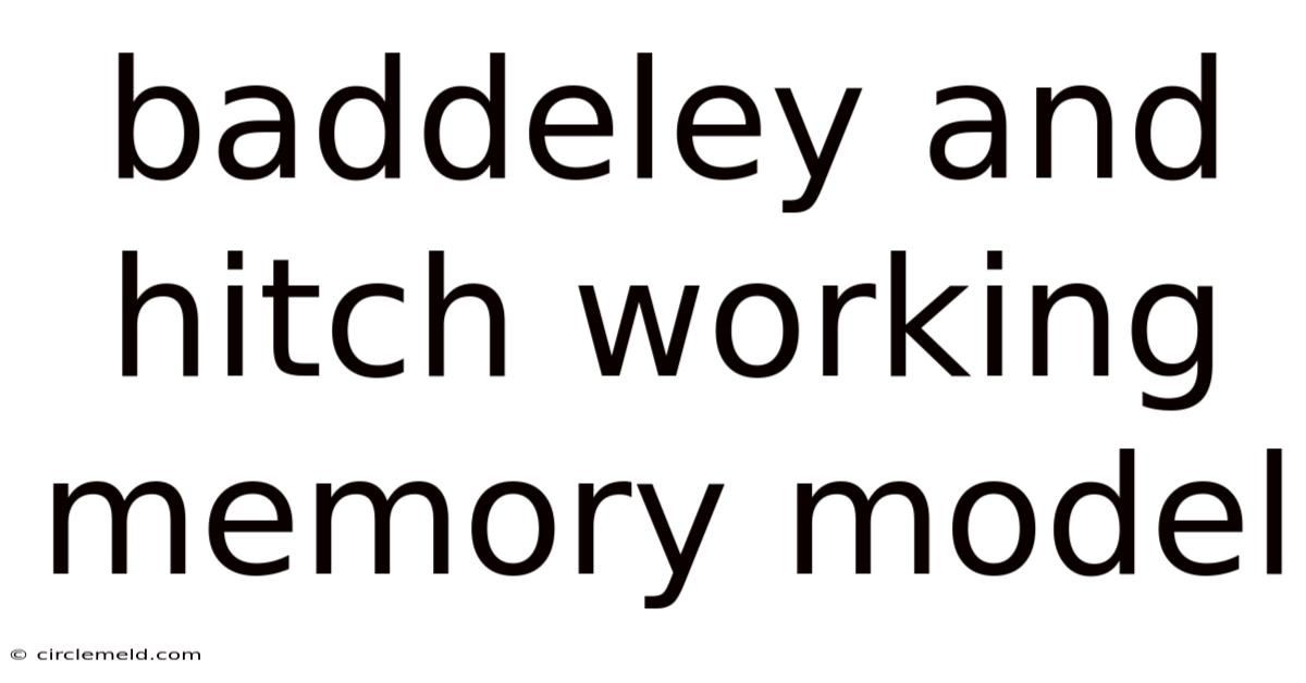 Baddeley And Hitch Working Memory Model