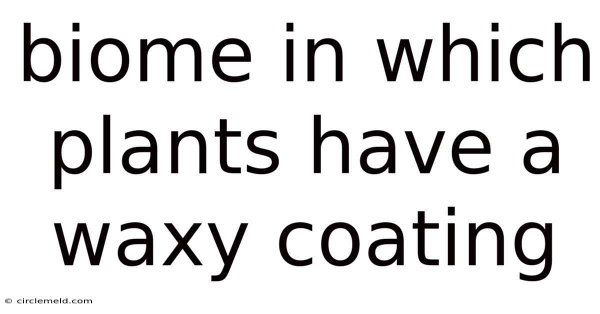 Biome In Which Plants Have A Waxy Coating