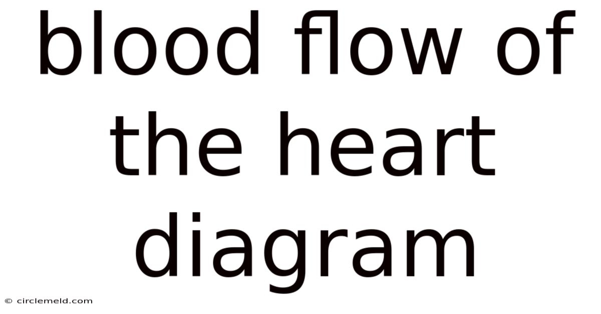 Blood Flow Of The Heart Diagram