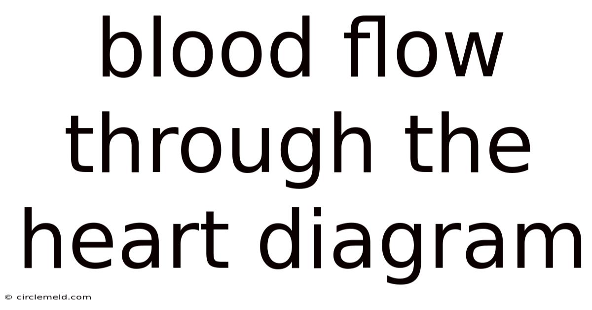Blood Flow Through The Heart Diagram