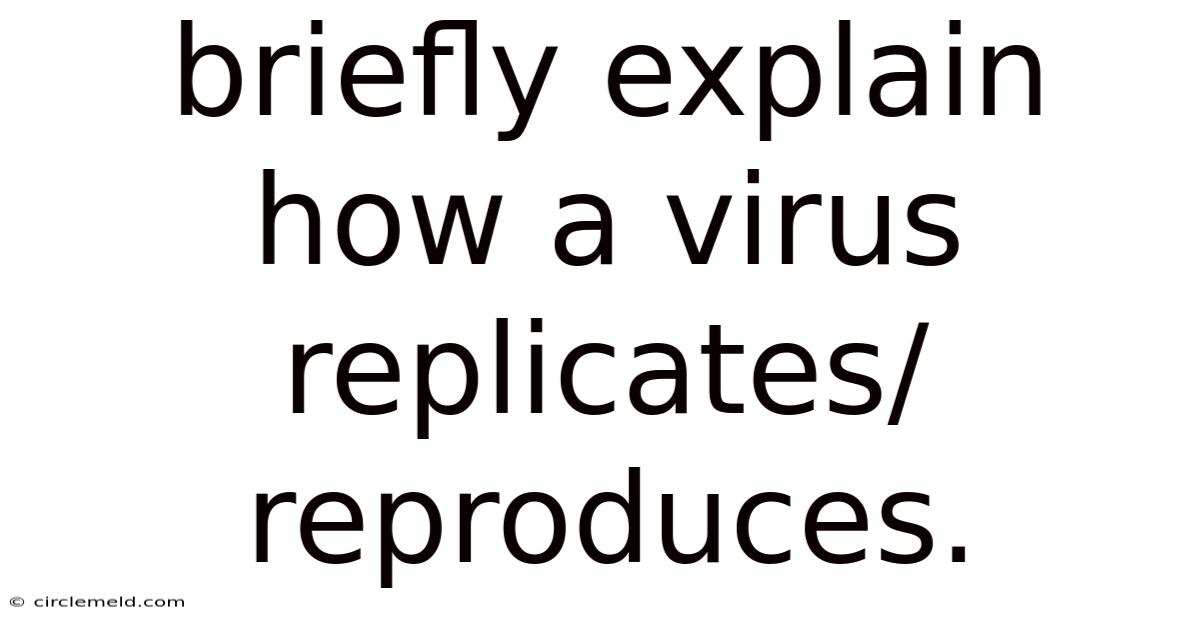 Briefly Explain How A Virus Replicates/reproduces.