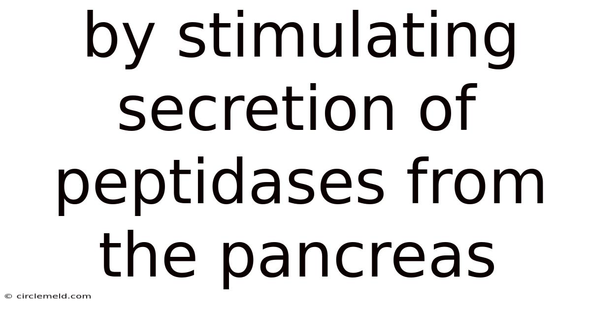 By Stimulating Secretion Of Peptidases From The Pancreas