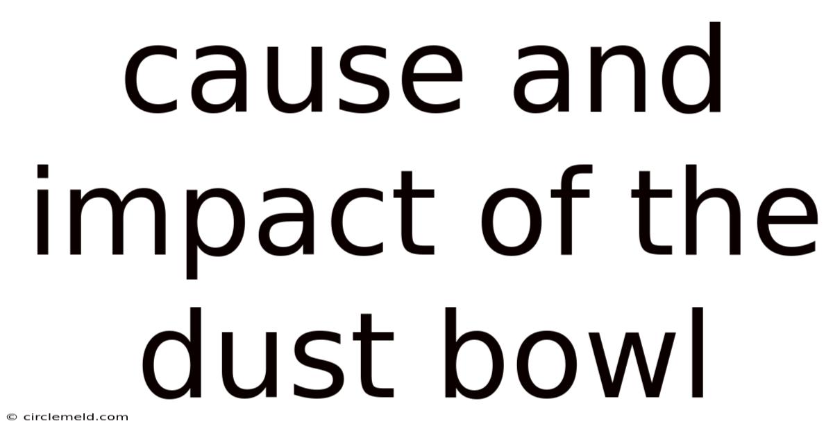 Cause And Impact Of The Dust Bowl