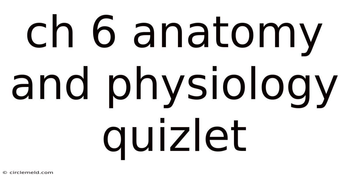 Ch 6 Anatomy And Physiology Quizlet