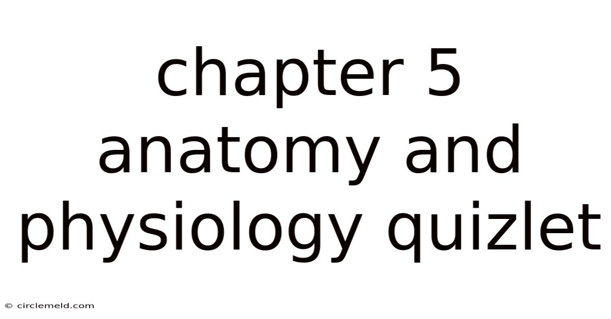 Chapter 5 Anatomy And Physiology Quizlet