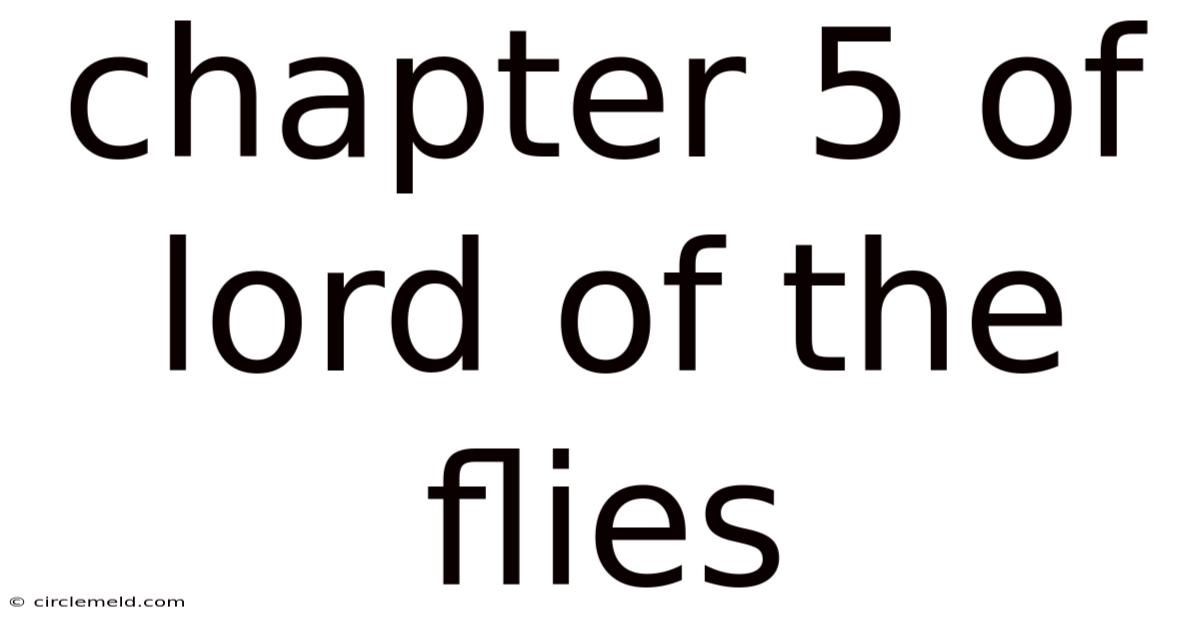 Chapter 5 Of Lord Of The Flies