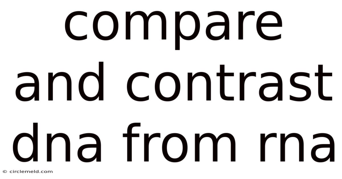 Compare And Contrast Dna From Rna