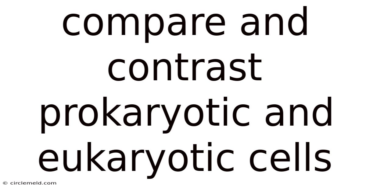 Compare And Contrast Prokaryotic And Eukaryotic Cells