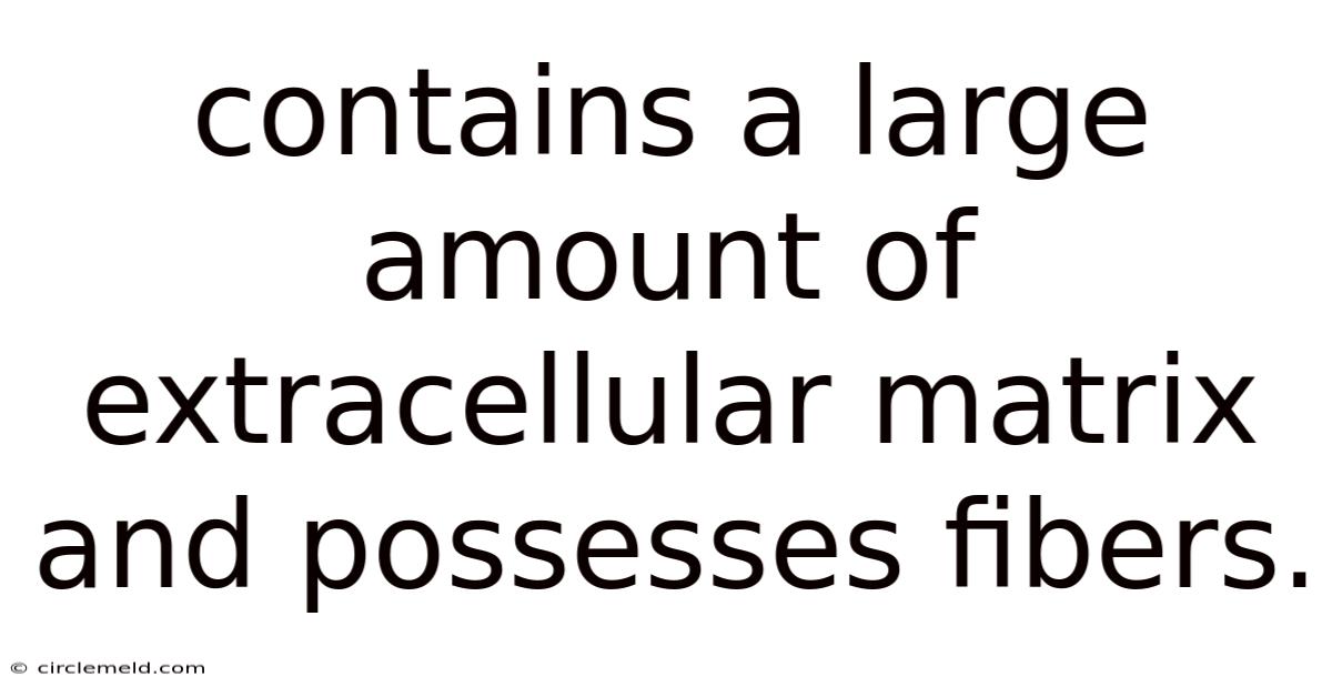 Contains A Large Amount Of Extracellular Matrix And Possesses Fibers.
