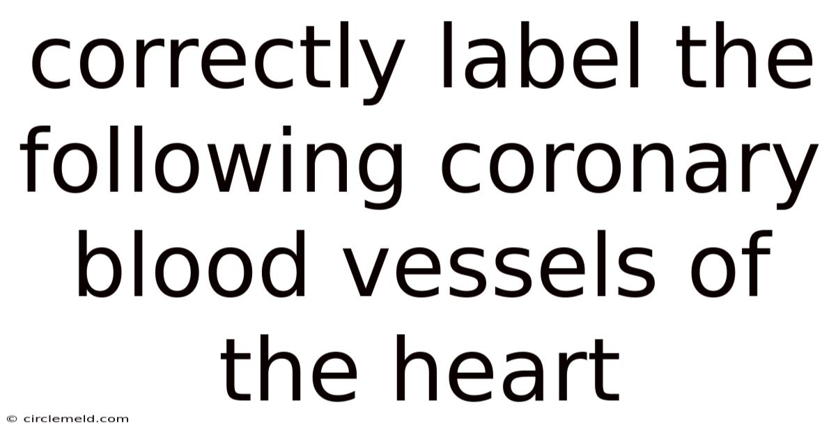 Correctly Label The Following Coronary Blood Vessels Of The Heart