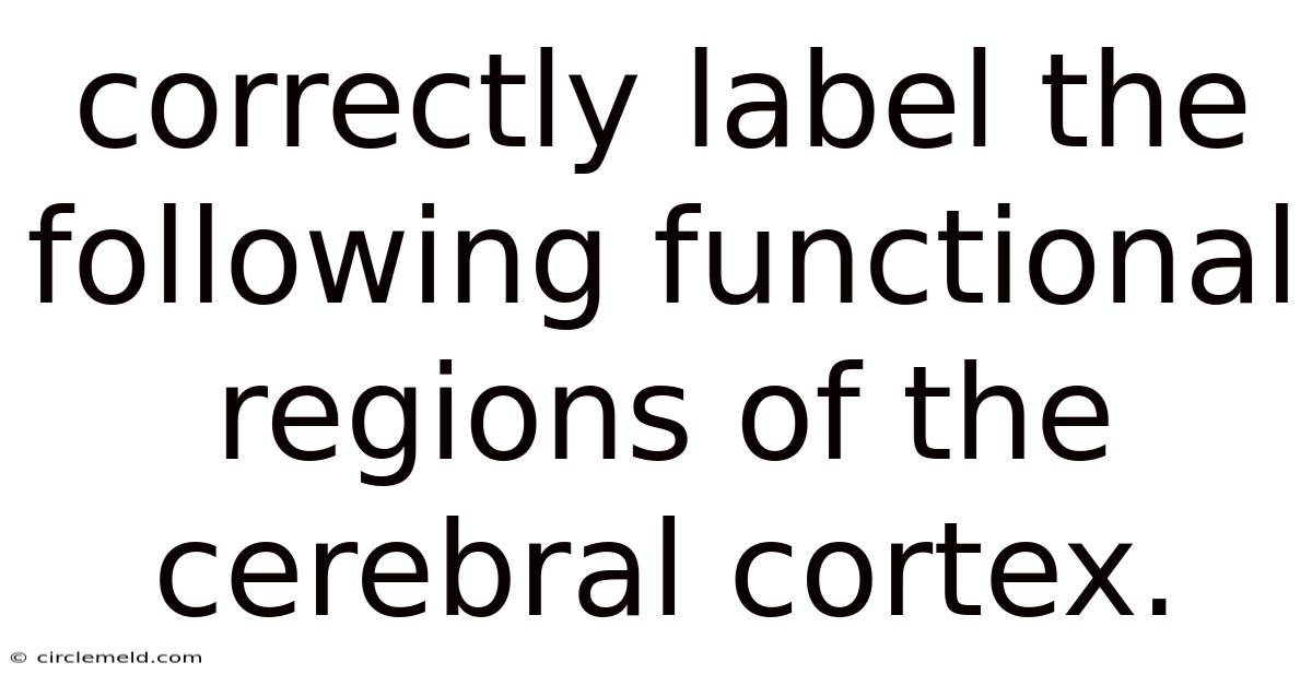 Correctly Label The Following Functional Regions Of The Cerebral Cortex