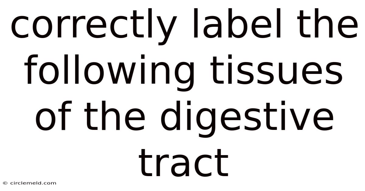 Correctly Label The Following Tissues Of The Digestive Tract