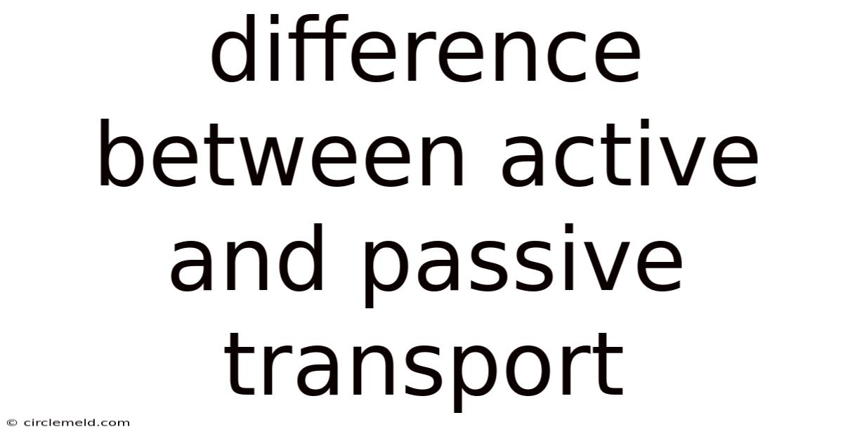 Difference Between Active And Passive Transport