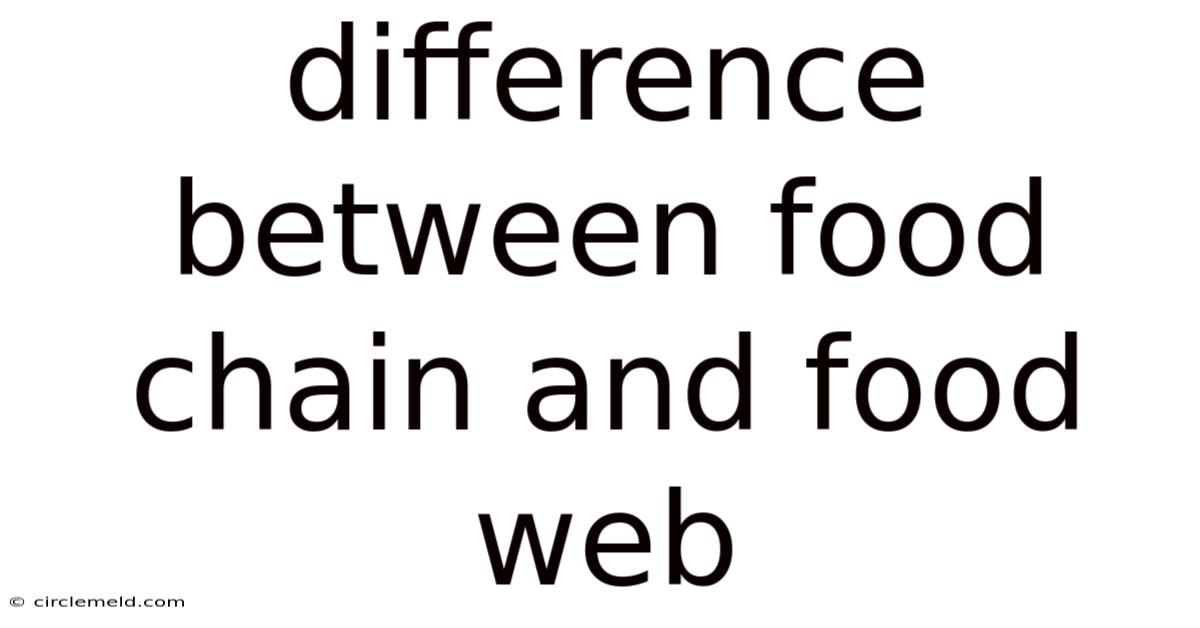 Difference Between Food Chain And Food Web