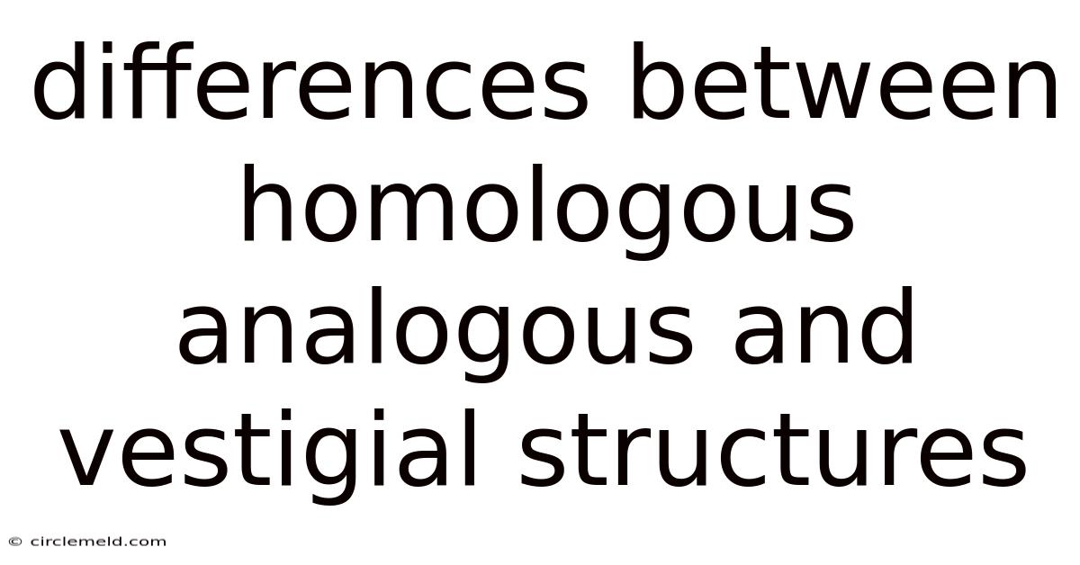 Differences Between Homologous Analogous And Vestigial Structures