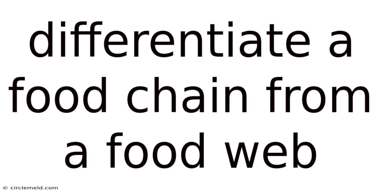 Differentiate A Food Chain From A Food Web