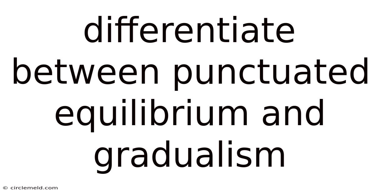 Differentiate Between Punctuated Equilibrium And Gradualism