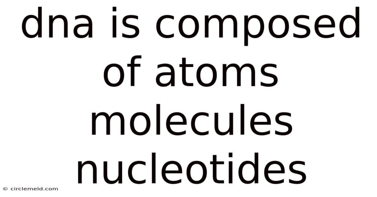 Dna Is Composed Of Atoms Molecules Nucleotides