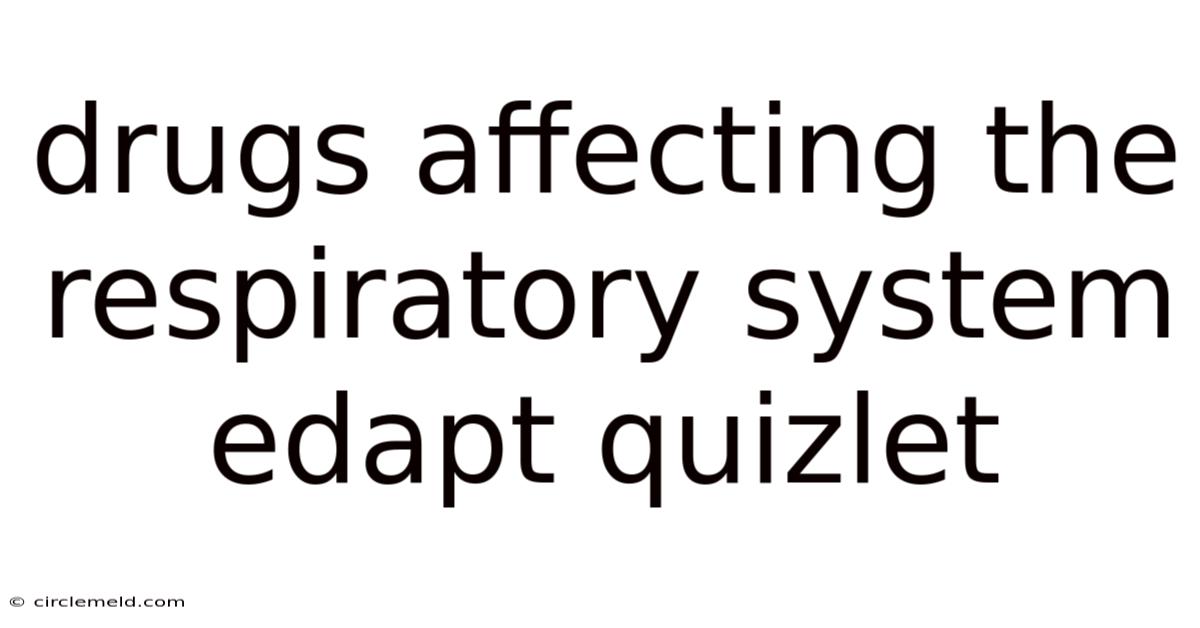 Drugs Affecting The Respiratory System Edapt Quizlet