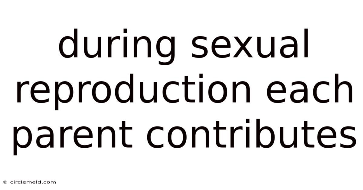 During Sexual Reproduction Each Parent Contributes