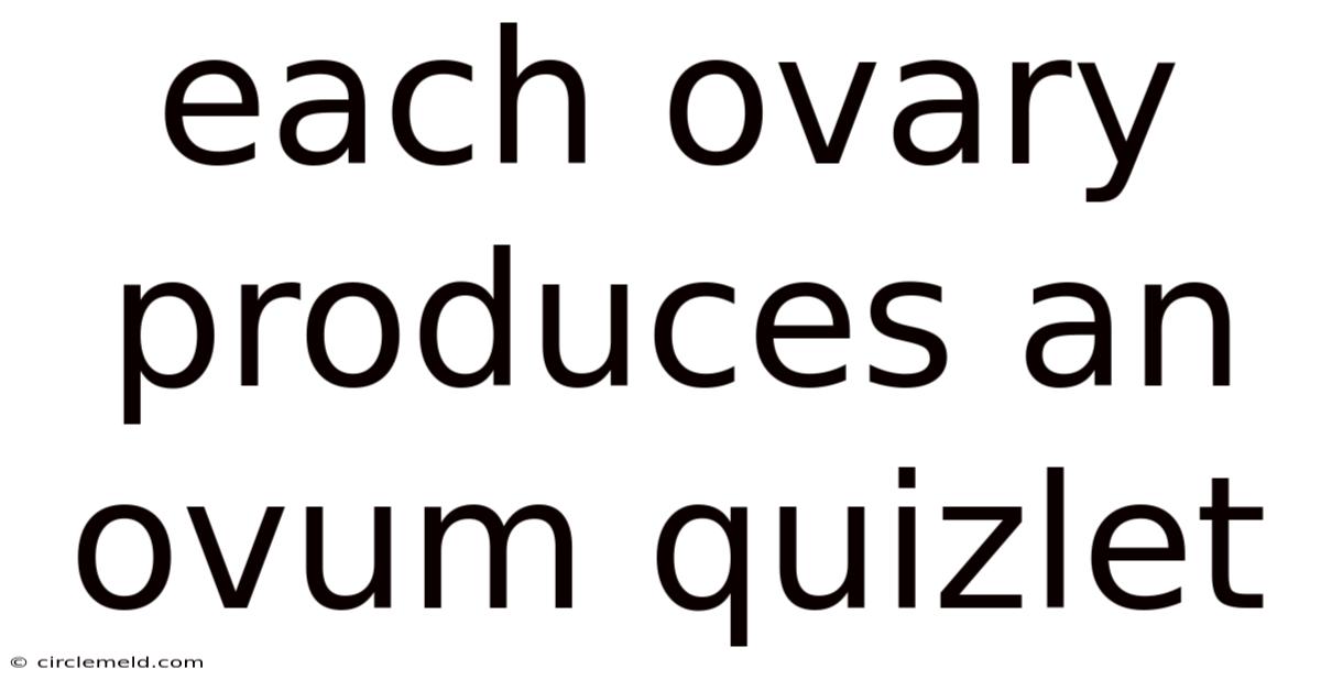 Each Ovary Produces An Ovum Quizlet
